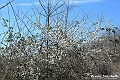 VBS_8805- Risvegli